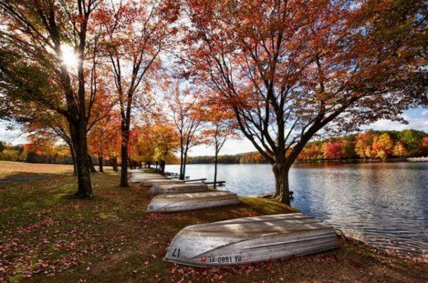 Entire 3 Bedroom Adventure Chalet, Near The Best Of The Poconos East Stroudsburg Bagian luar foto